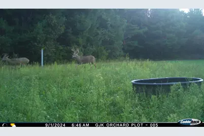 4604 County Highway I, Sparta, WI 54656 - Photo 85