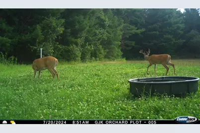 4604 County Highway I, Sparta, WI 54656 - Photo 81