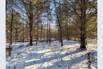 5148, Lot 1 County Highway S, Sparta, WI 54656 - Photo 13