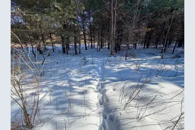 5148, Lot 2 County Highway S, Sparta, WI 54656 - Photo 13