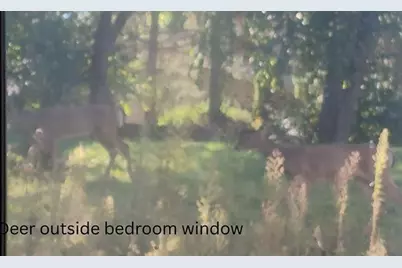 837 N Gammon Road #D, Madison, WI 53717 - Photo 37