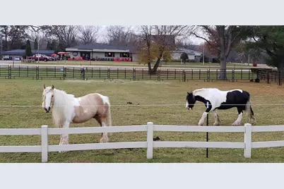 10555 Freedom Rd, Tomah, WI 54660 - Photo 81