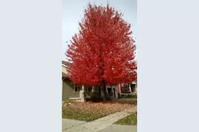 2809 Interlaken Pass, Madison, WI 53719 - Photo 63