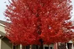 2809 Interlaken Pass, Madison, WI 53719 - Photo 63