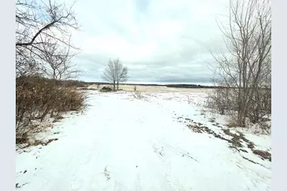 137 Acres Morrissey Road, Mauston, WI 53948 - Photo 3