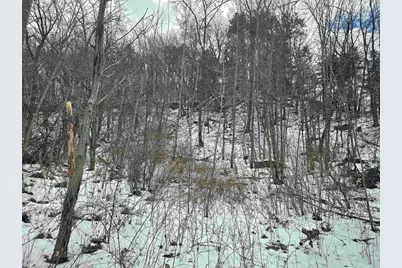 137 Acres Morrissey Road, Mauston, WI 53948 - Photo 11