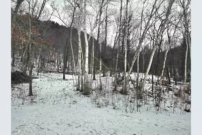 137 Acres Morrissey Road, Mauston, WI 53948 - Photo 9