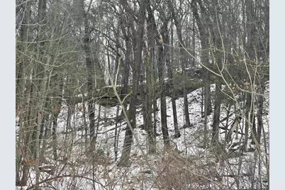 137 Acres Morrissey Road, Mauston, WI 53948 - Photo 5