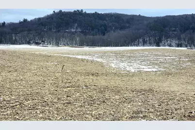 137 Acres Morrissey Road, Mauston, WI 53948 - Photo 1