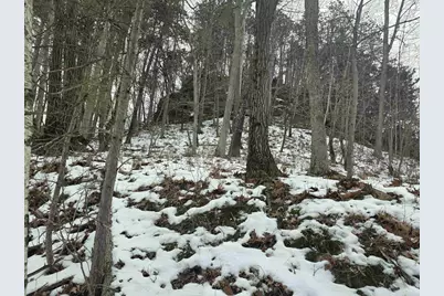 137 Acres Morrissey Road, Mauston, WI 53948 - Photo 7