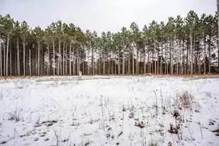 W4275 Mays Ct, Necedah, WI 54646 - Photo 15