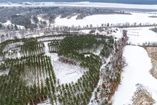 W4275 Mays Ct, Necedah, WI 54646 - Photo 25