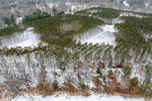 W4275 Mays Ct, Necedah, WI 54646 - Photo 33