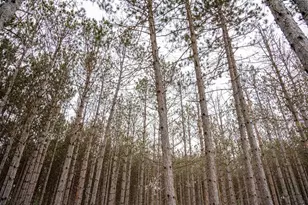 W4275 Mays Ct, Necedah, WI 54646 - Photo 21