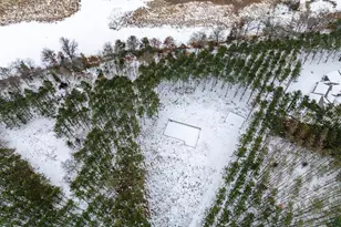 W4275 Mays Ct, Necedah, WI 54646 - Photo 29