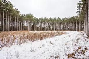 W4275 Mays Ct, Necedah, WI 54646 - Photo 19