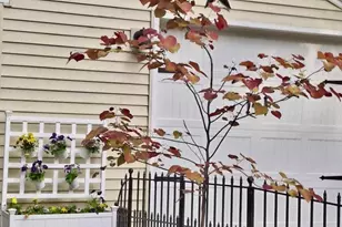 113 Leon St, Madison, WI 53714 - Photo 33