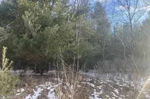 N4750 Whitetail Ln, Elroy, WI 53929 - Photo 27