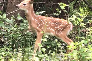 1816 Eastwood Ave, Janesville, WI 53545 - Photo 79