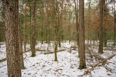 Lot 3 Meadow Drive, New Lisbon, WI 53950 - Photo 15