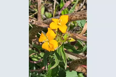L2 N Hay Hollow Road, Blanchardville, WI 53516 - Photo 19
