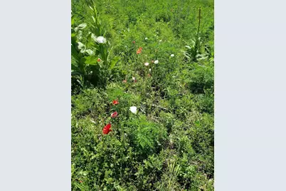 L2 N Hay Hollow Road, Blanchardville, WI 53516 - Photo 11