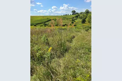 L2 N Hay Hollow Road, Blanchardville, WI 53516 - Photo 3