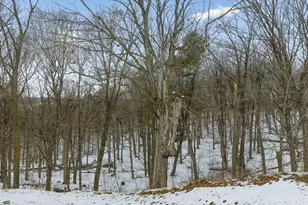 S175 Lavalle Rd, La Valle, WI 53941 - Photo 19