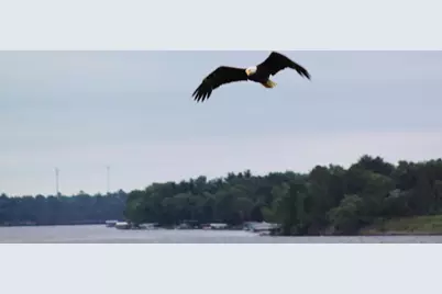 N10086 County Road G, Necedah, WI 54646 - Photo 75