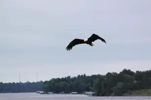 N10086 County Rd G, Necedah, WI 54646 - Photo 75