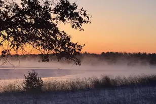 N10086 County Rd G, Necedah, WI 54646 - Photo 77