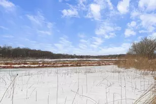 1122 Middleton St, Madison, WI 53717 - Photo 47