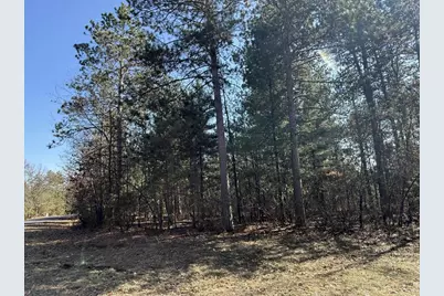 1383 W 11th Court, Friendship, WI 53934 - Photo 3