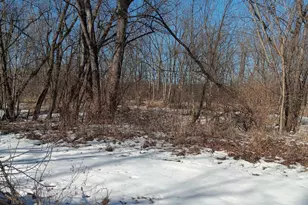 1 Acre Amenda Rd, Mazomanie, WI 53560 - Photo 7