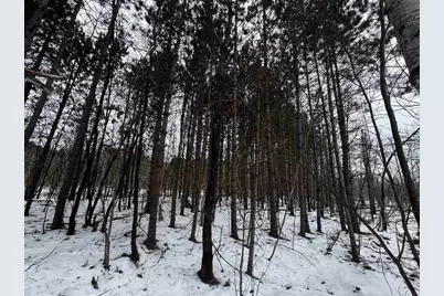 81.64 Ac 28th St Acres, New Lisbon, WI 53950 - Photo 37