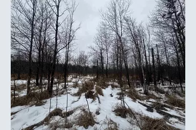 81.64 Ac 28th St Acres, New Lisbon, WI 53950 - Photo 13