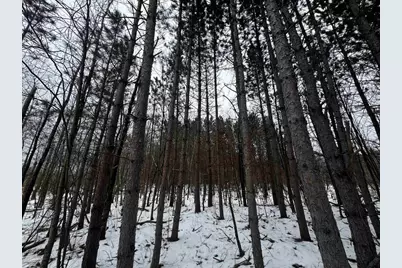 81.64 Ac 28th St Acres, New Lisbon, WI 53950 - Photo 5