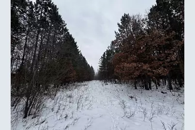 81.64 Ac 28th St Acres, New Lisbon, WI 53950 - Photo 7