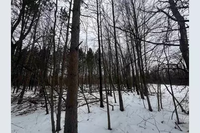 81.64 Ac 28th St Acres, New Lisbon, WI 53950 - Photo 33