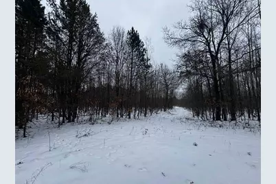 81.64 Ac 28th St Acres, New Lisbon, WI 53950 - Photo 11