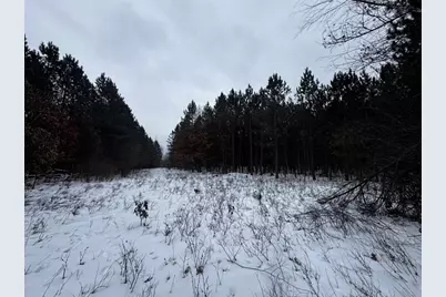 81.64 Ac 28th St Acres, New Lisbon, WI 53950 - Photo 9