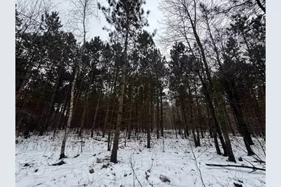 81.64 Ac 28th St Acres, New Lisbon, WI 53950 - Photo 21