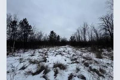 81.64 Ac 28th St Acres, New Lisbon, WI 53950 - Photo 41