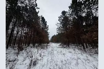 81.64 Ac 28th St Acres, New Lisbon, WI 53950 - Photo 39