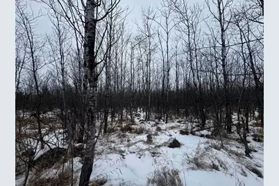 81.64 Ac 28th St Acres, New Lisbon, WI 53950 - Photo 17