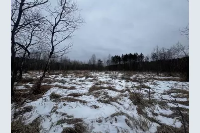 81.64 Ac 28th St Acres, New Lisbon, WI 53950 - Photo 35