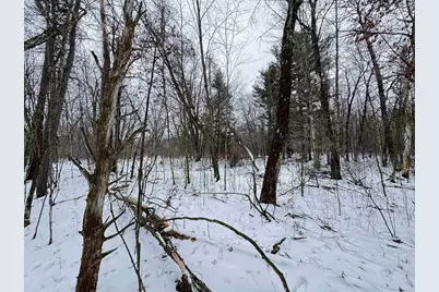 120 Ac 30th St Acres, New Lisbon, WI 53950 - Photo 39