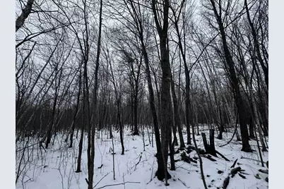 120 Ac 30th St Acres, New Lisbon, WI 53950 - Photo 35