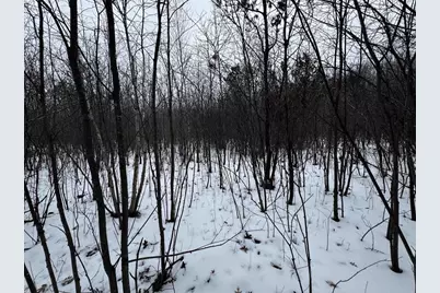 120 Ac 30th St Acres, New Lisbon, WI 53950 - Photo 33