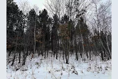 120 Ac 30th St Acres, New Lisbon, WI 53950 - Photo 11